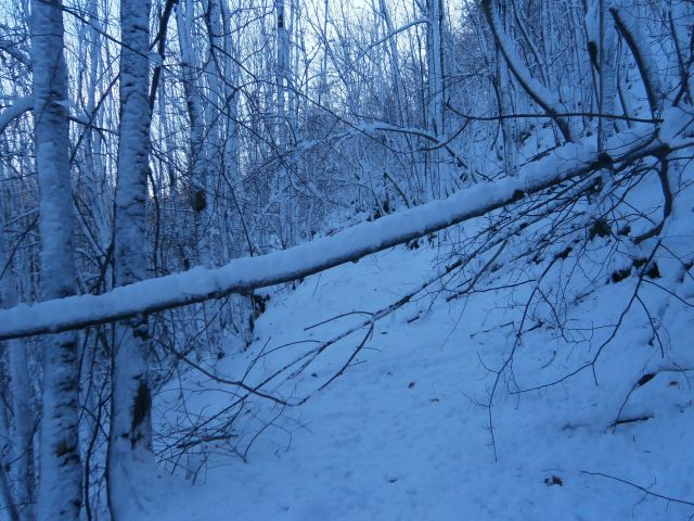 Stara Drevesnica na Boču v snegu,13.11.2016 - foto