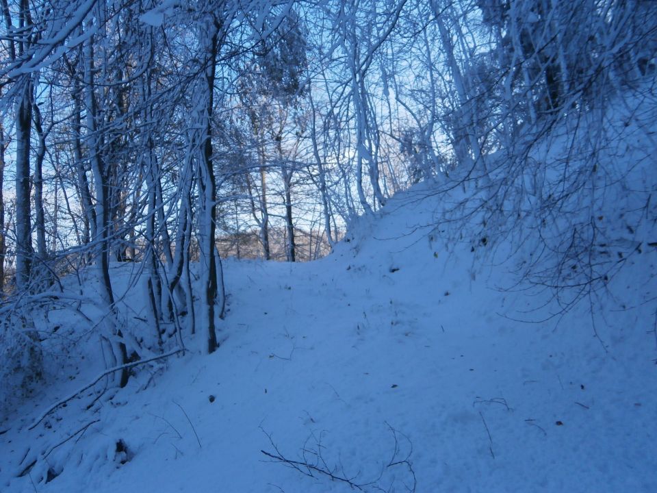 Stara Drevesnica na Boču v snegu,13.11.2016 - foto povečava