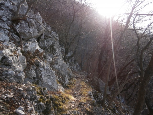 Boč v severnem območju,18.12.2016 - foto