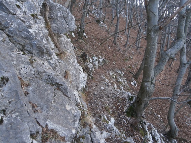 Boč v severnem območju,18.12.2016 - foto