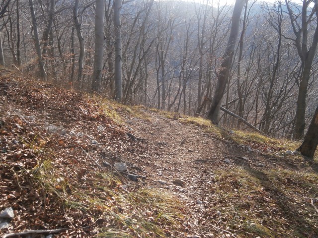 Boč v severnem območju,18.12.2016 - foto