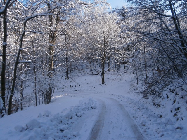 Stara Drevesnica na Boču v snegu 03.12.2017 - foto