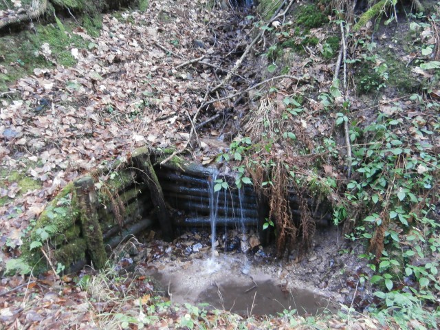 Pašnik Lipovec in območje Špilka,07.12.2019 - foto