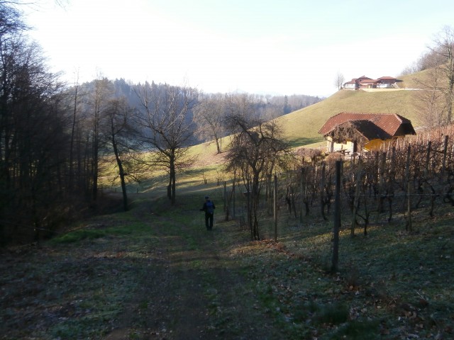Sveti Tomaž nad Vojnikom  - foto