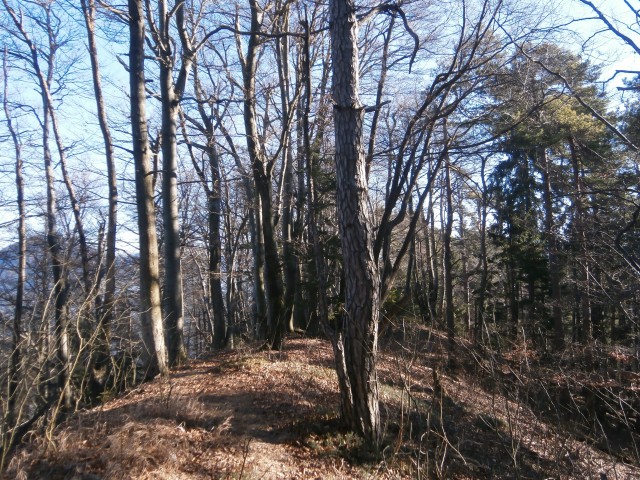 Reber - Lukmanova gora -Borje - foto