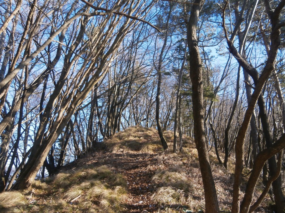 Reber - Lukmanova gora -Borje - foto povečava