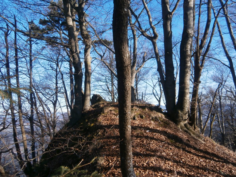 Reber - Lukmanova gora -Borje - foto povečava