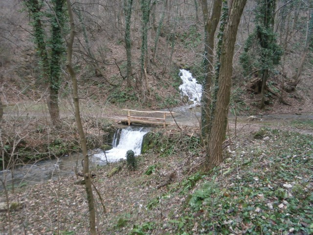 Plešivec 822 čez Boči in nazaj,27.12.2020 - foto