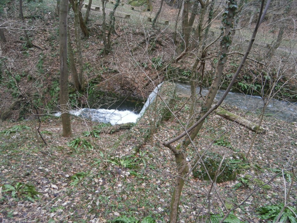 Plešivec 822 čez Boči in nazaj,27.12.2020 - foto povečava