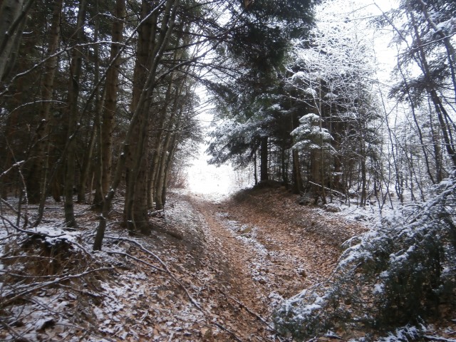 Plešivec 822 čez Boči in nazaj,27.12.2020 - foto