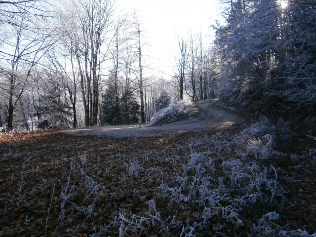 Stara Drevesnica na Boču,29.11.2020 - foto