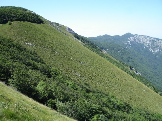 Pobočja tik pod vrhom.