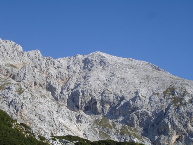 Rjavina. Vedno bližje