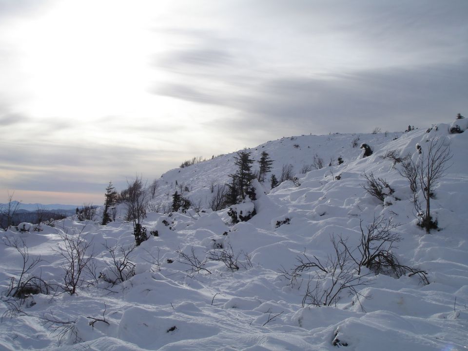 Snežnik 29.01.2010 - foto povečava