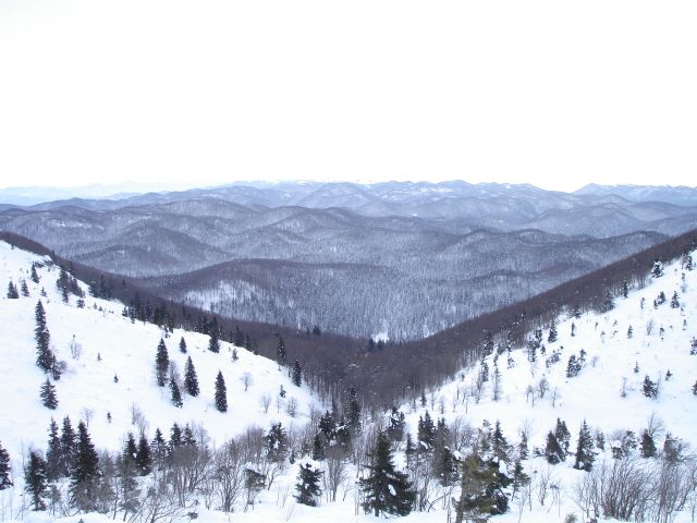 Snežnik 29.01.2010 - foto