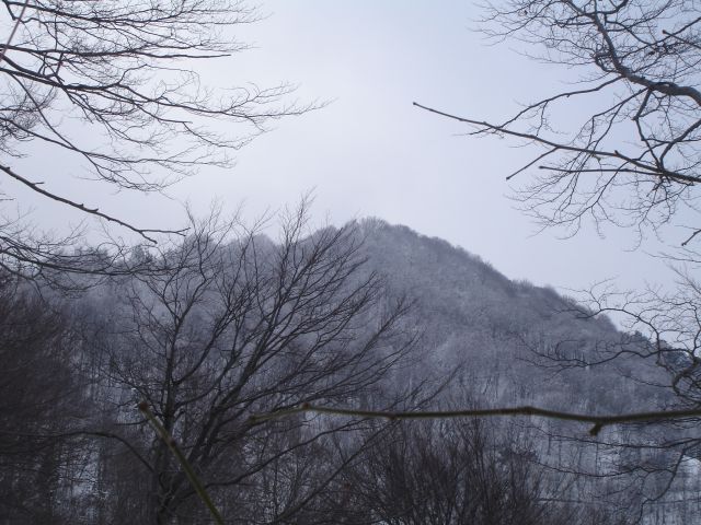 Pogled na Grmado