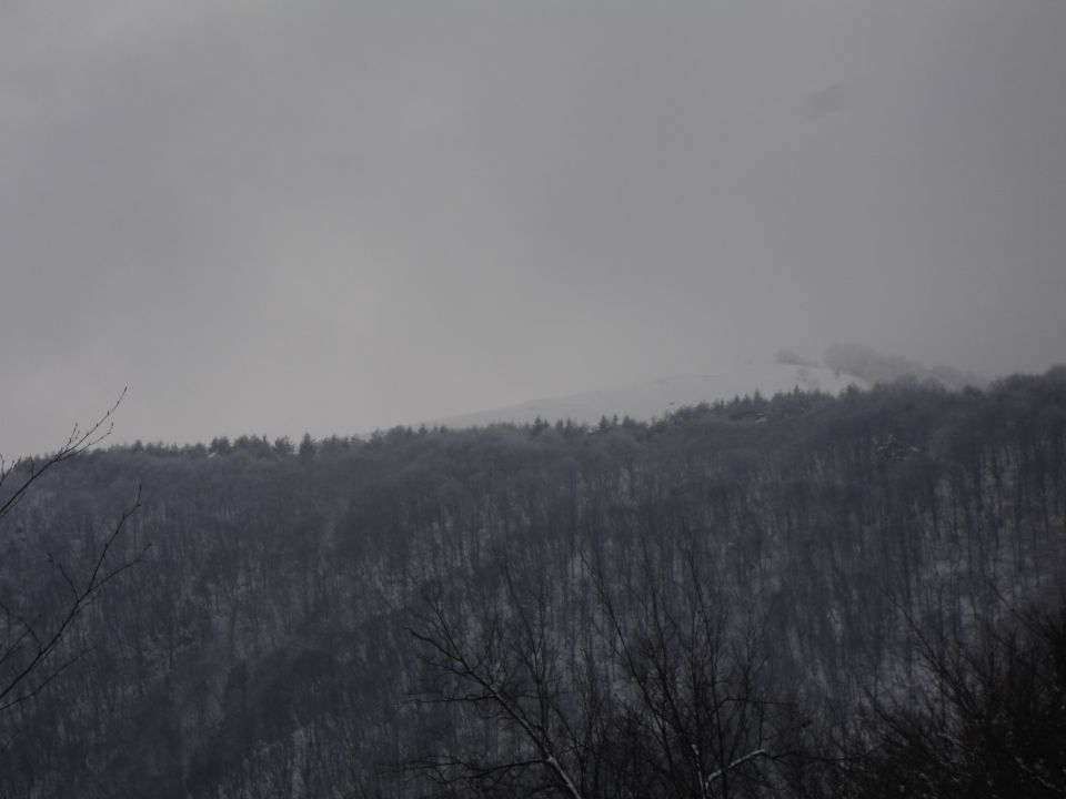 Vrh med Petričevim hribom (Oblenkom) in Grmado z višino 928m (na kartah nima imena)