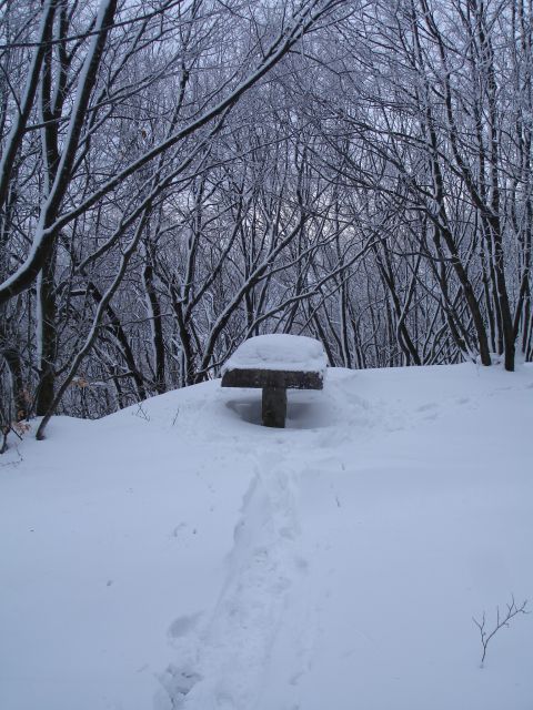 Na vrhu Grmade