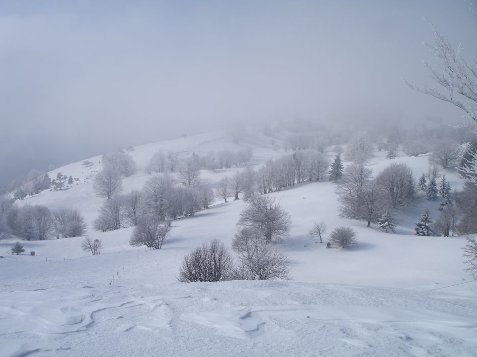 Pogled proti Petričevemu vrhu (Oblenku)