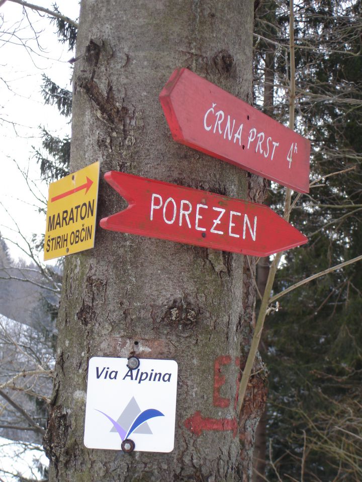 Porezen 05.03.2010 - foto povečava