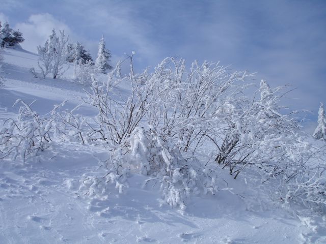 Nekaj zimskih motivov