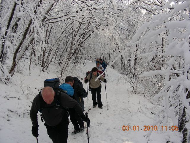 SLAVNIK 03.01.2010 - foto