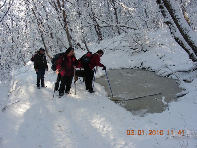 SLAVNIK 03.01.2010 - foto povečava