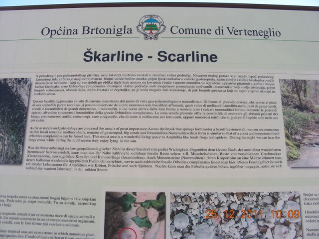 ŠKARLINE-BRTONIGLA - foto