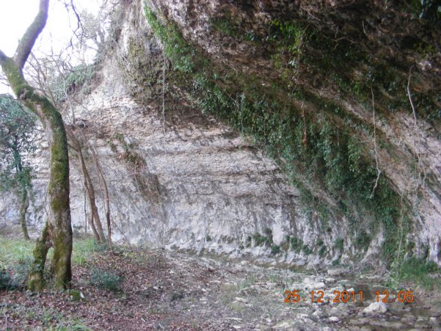 ŠKARLINE-BRTONIGLA - foto