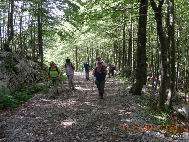 SNEŽNIK-GRČOVEC - foto