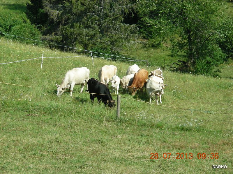 BOLNICA OGENCA 2013 - foto povečava