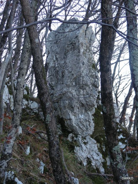 UČKA PERUN TREBIŠČA - foto