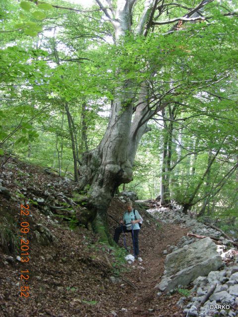 UČKA PERUN TREBIŠČA - foto