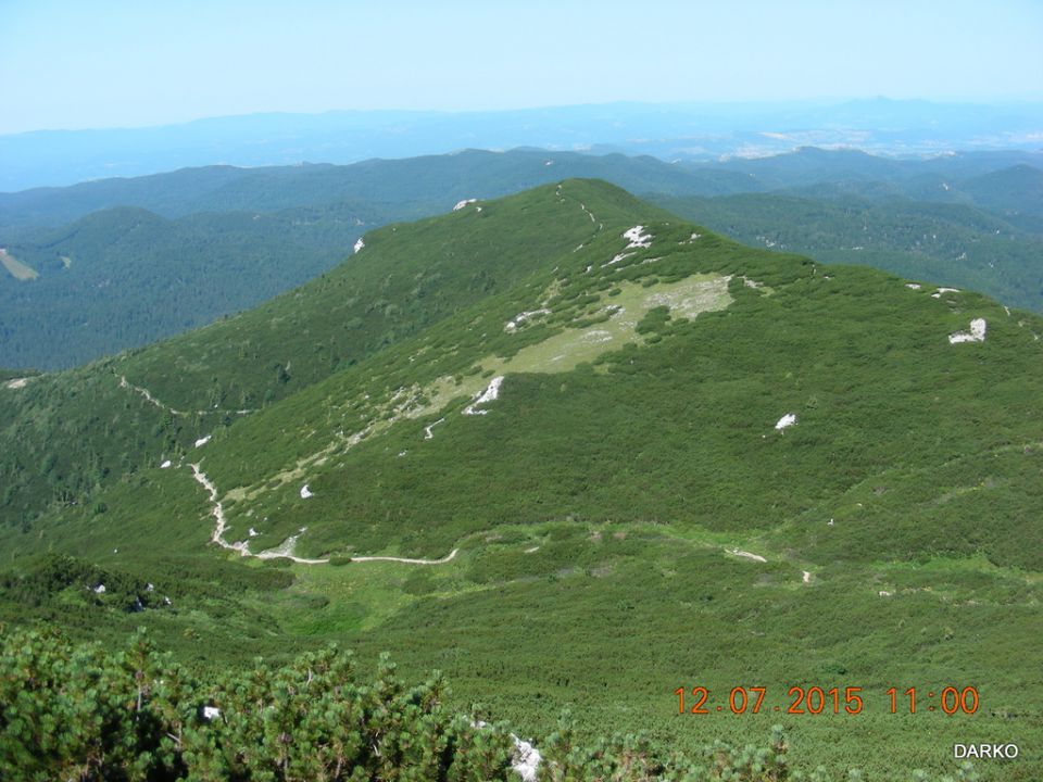 GRDA DRAGA - foto povečava