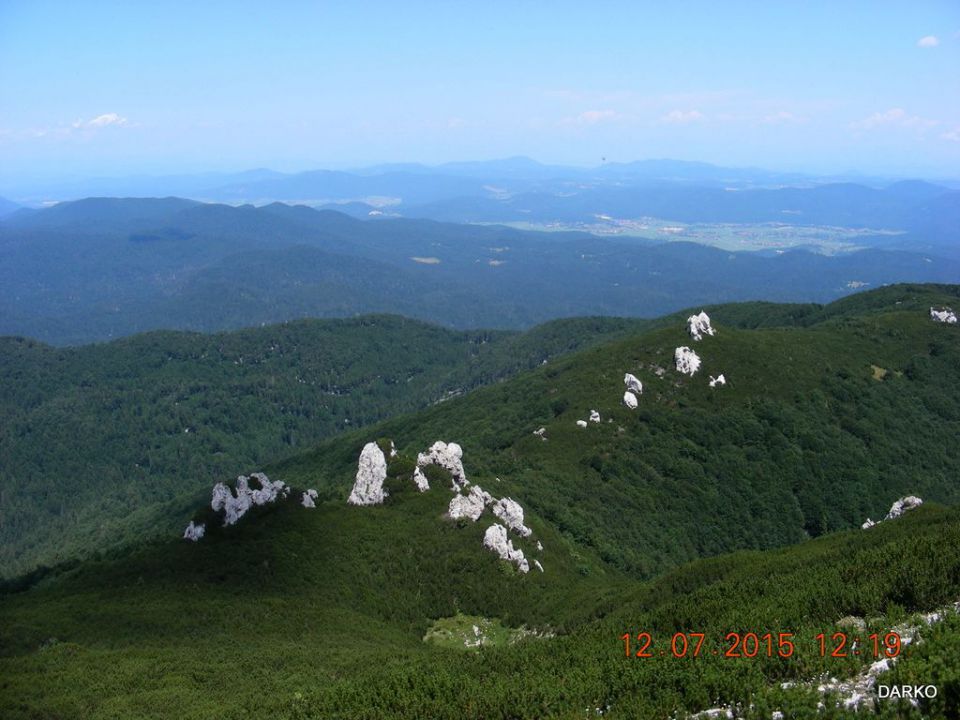 GRDA DRAGA - foto povečava