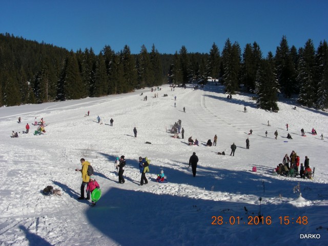 Veliko polje