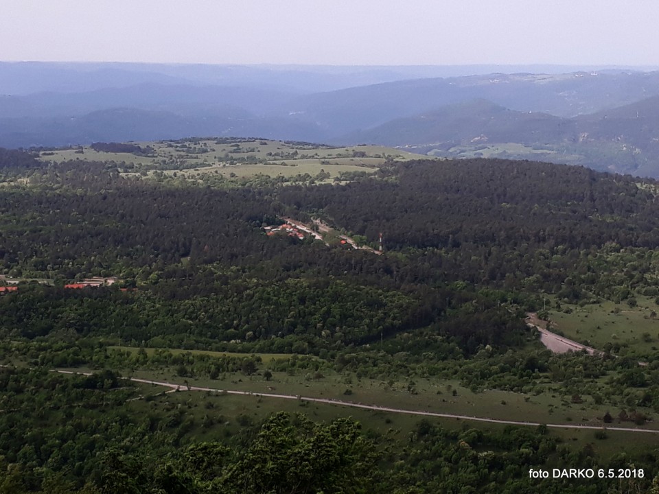 RAKITOVEC-POT NARCIS - foto povečava