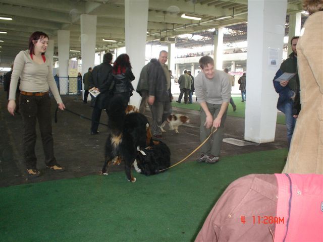 CACIib marec Zagreb - foto