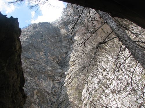 Green in zen v Bohinju - foto povečava