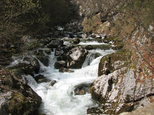 Green in zen v Bohinju - foto povečava