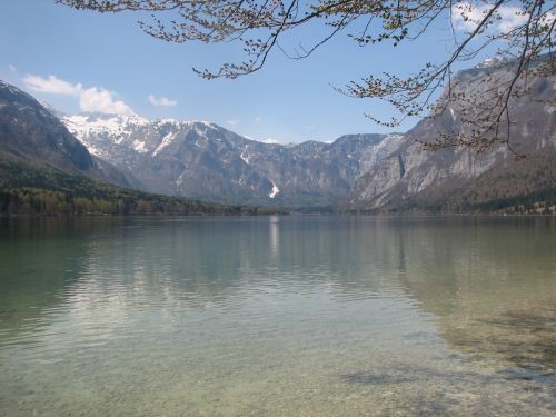 Green in zen v Bohinju - foto povečava