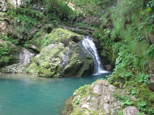 Delnice PAsji dan - foto povečava