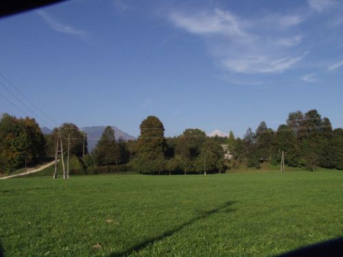 GReen im obiske : Zen in Atos Kranj - foto