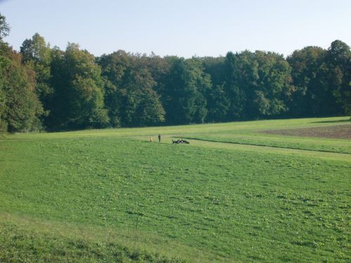 GReen im obiske : Zen in Atos Kranj - foto