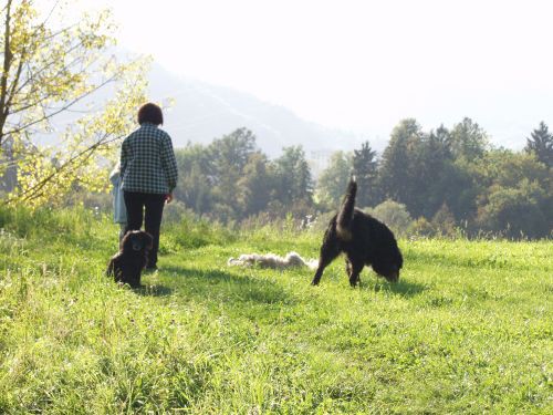 GReen im obiske : Zen in Atos Kranj - foto