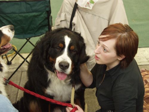 CACIB Zagreb 25 11 - foto