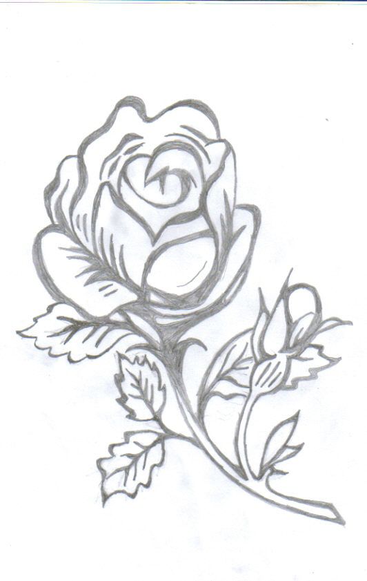 vrtnica-svinčnik