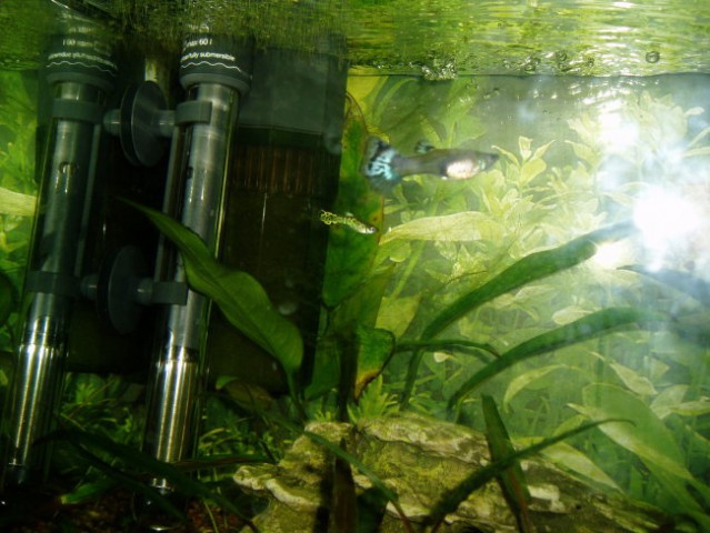 Akvarij(prenovljen) - foto
