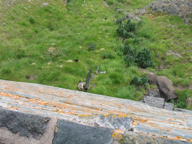 GROSGLLOKNER 2006 - foto