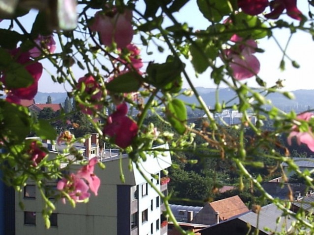 Razgled - foto